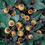 Toothache Plant-Spilanthes oleracea