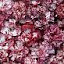 Dianthus Raspberry Ripple