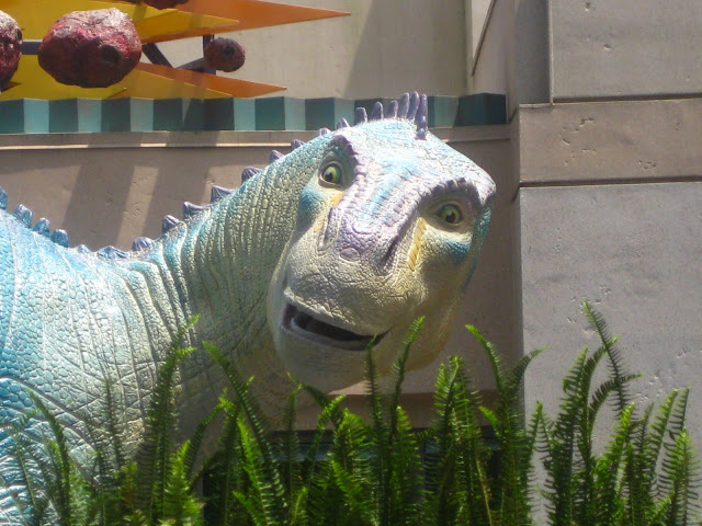 Florida%202009%201056.jpg