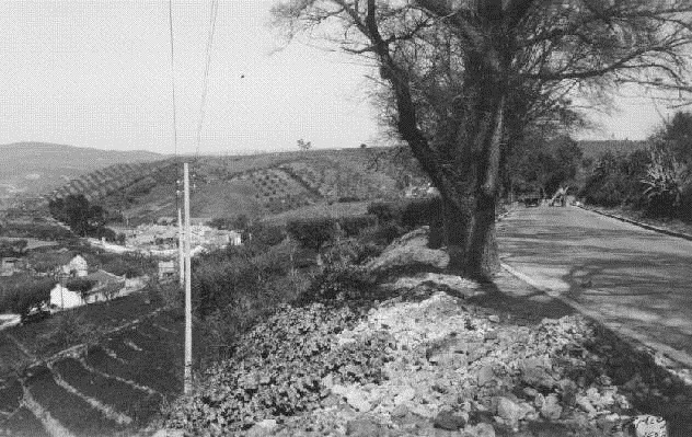 [Calçada de Carriche 1938 (estrada do Desvio)[5].jpg]