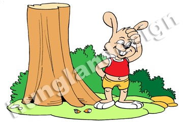 Nhấn vào ảnh để phóng to trg03