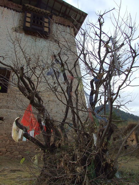 9 дней в Королевстве Громового Дракона, ноябрь 2009 (фото)