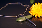 Okt 31 2010 Louise of Sweden silversmycken 014.JPG
