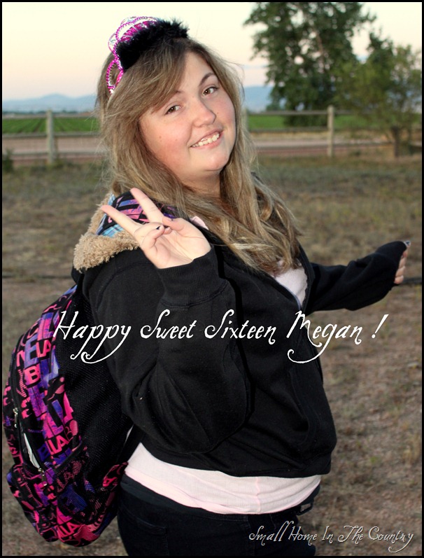 Megan Sweet 16