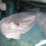 1995 Explorer Conversion G20 Chevrolet Chevy van