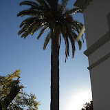 cimg0445.jpg