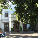 hort_alba_garces.jpg