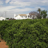 cimg0237.jpg