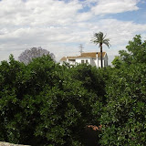cimg0239.jpg