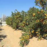 cimg0002.jpg