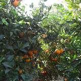 cimg0010.jpg
