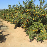 cimg0024.jpg