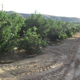 cimg0737.jpg