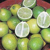 limones5.jpg