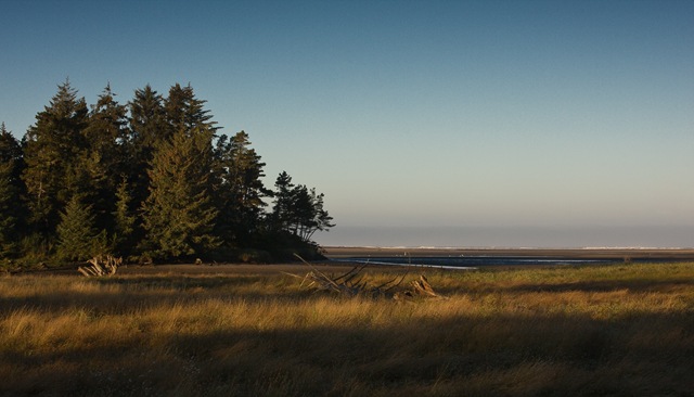 [seaside1of112.jpg]
