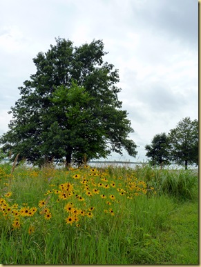 2010-07-06 - IL to IA, Rathbun Lake C.O.E. 1012