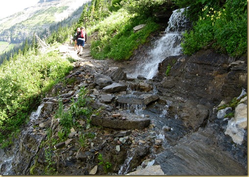 2010-07-28 -1- MT, Glacier National Park - Hiking Highline Trail 1057