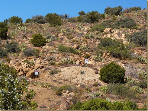 2010-10-10 - AZ, Mineral Park Abandoned Mine Hike - 1008
