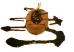 cocina-gourmet