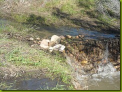 monday january 17 walk in mission trails