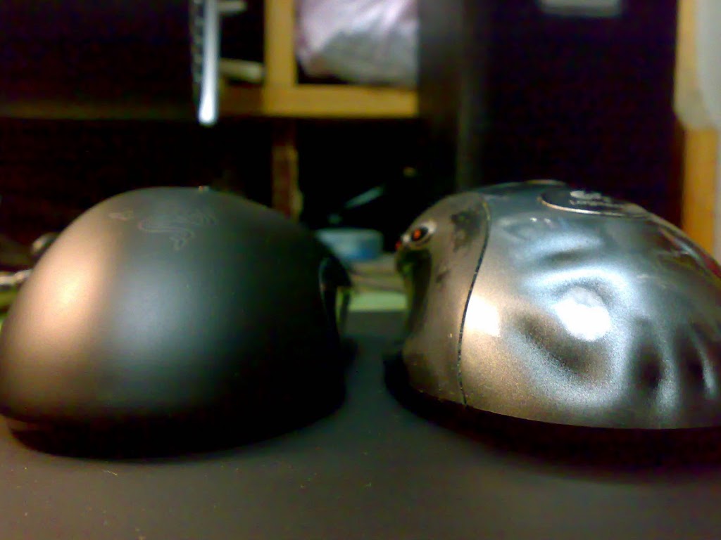 20100121385.jpg