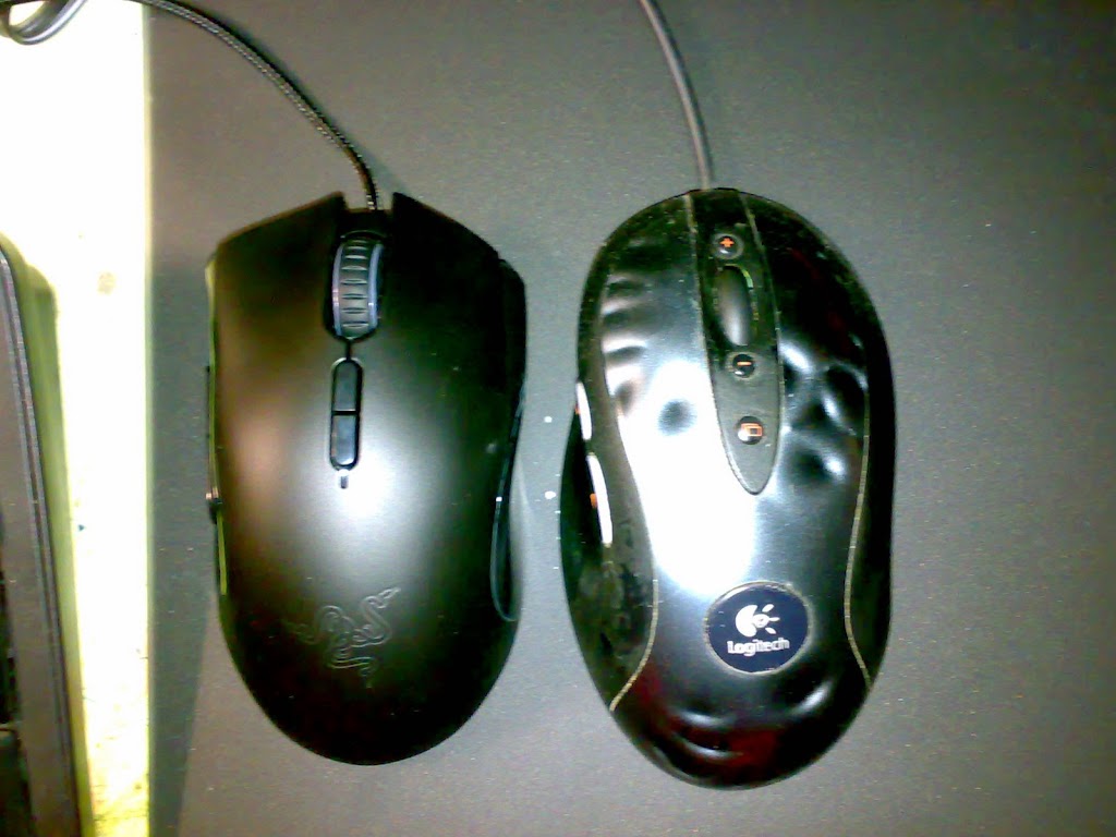 20100121384.jpg