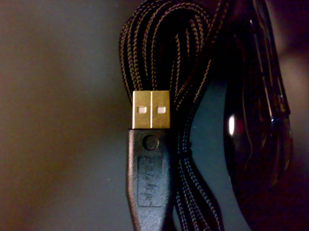 20100121391.jpg