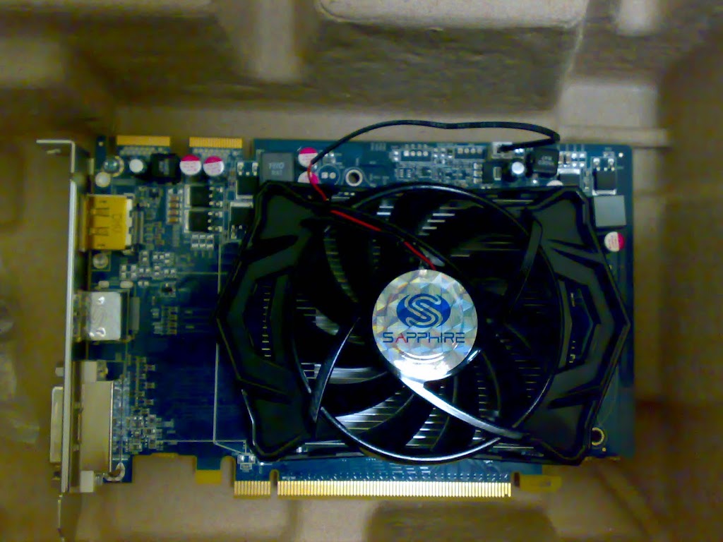 20100224438.jpg