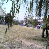 musicFestival