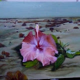 colorpainting