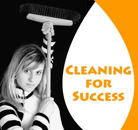 cleansuccess1-2011-01-15-14-01.jpg