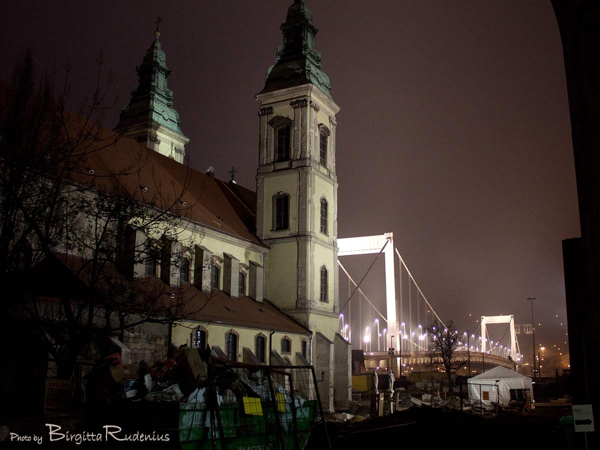 [nightwalk_20110109_1erzebethid[2].jpg]