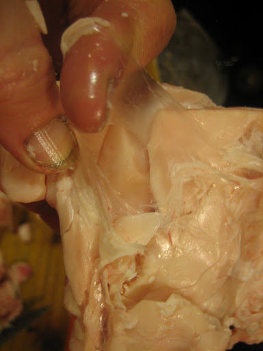 membranes