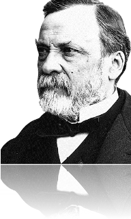 Pasteur Pasteur