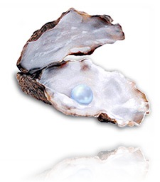 ostra 2 ostra 2