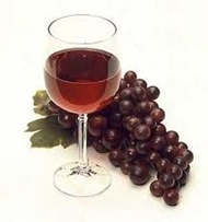 Vino Vino