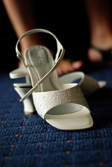 The Shoes