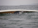 IMGP4145.JPG