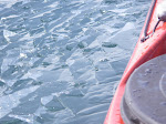 IMGP4501.JPG
