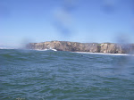 IMGP4377.JPG