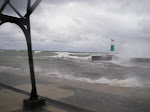 IMGP3788.JPG