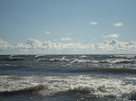 DSC01294.JPG