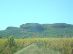 DSC01495.JPG