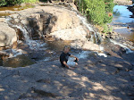 DSC01529.JPG