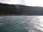 IMGP0269.JPG