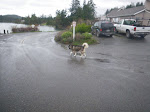 IMGP0242.JPG