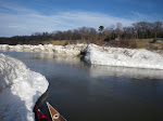 IMGP0439.JPG