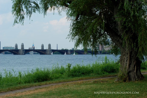 [esplanade[1].jpg]