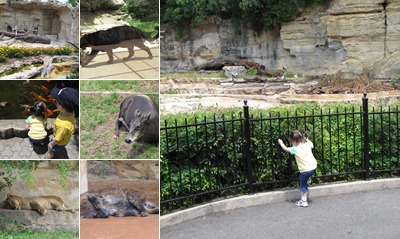 View San Antonio Zoo