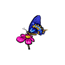 mariposas_zonadegif (11)